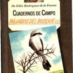 خرید و دانلود نسخه کامل کتاب Pájaros del bosque (I)