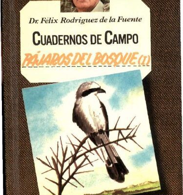 خرید و دانلود نسخه کامل کتاب Pájaros del bosque (I)