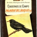 خرید و دانلود نسخه کامل کتاب Pájaros del bosque (II)