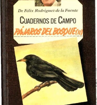 خرید و دانلود نسخه کامل کتاب Pájaros del bosque (II)