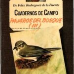 خرید و دانلود نسخه کامل کتاب Pájaros del bosque (III)