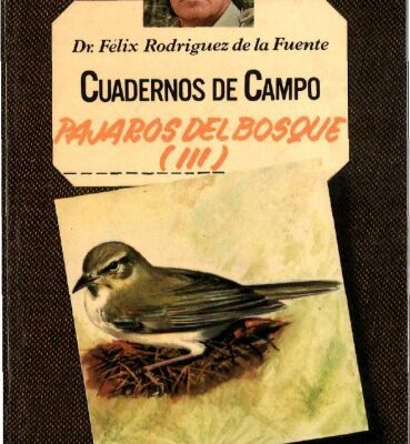 خرید و دانلود نسخه کامل کتاب Pájaros del bosque (III)