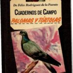 خرید و دانلود نسخه کامل کتاب Palomas y tórtolas