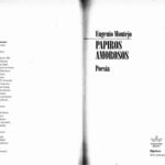 خرید و دانلود نسخه کامل کتاب Papiros Amorosos