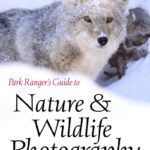 خرید و دانلود نسخه کامل کتاب Park Ranger’s Guide to Nature & Wildlife Photography