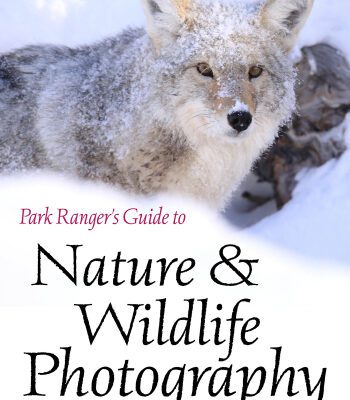 خرید و دانلود نسخه کامل کتاب Park Ranger’s Guide to Nature & Wildlife Photography