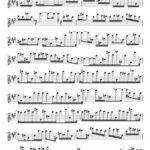 خرید و دانلود نسخه کامل کتاب Parulidae for flute
