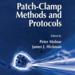 خرید و دانلود نسخه کامل کتاب Patch-Clamp Methods and Protocols