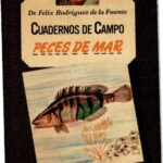 خرید و دانلود نسخه کامل کتاب Peces de mar