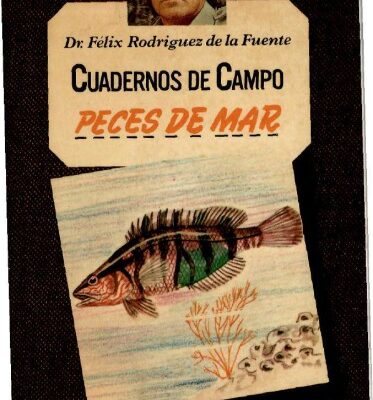 خرید و دانلود نسخه کامل کتاب Peces de mar