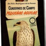 خرید و دانلود نسخه کامل کتاب Pequeñas águilas