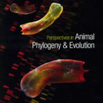 خرید و دانلود نسخه کامل کتاب Perspectives in animal phylogeny and evolution