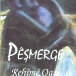 خرید و دانلود نسخه کامل کتاب Pêşmerge