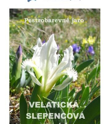 خرید و دانلود نسخه کامل کتاب Pestrobarevné jaro – Velatická slepencová stráň