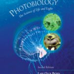 خرید و دانلود نسخه کامل کتاب Photobiology – The Science of Life and Light