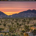 خرید و دانلود نسخه کامل کتاب Photographing California – Vol. 2: South: A Guide to the Natural Landmarks of the Golden State