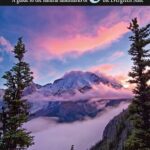 خرید و دانلود نسخه کامل کتاب Photographing Washington: A Guide to the Natural Landmarks of the Evergreen State