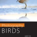 خرید و دانلود نسخه کامل کتاب Photography Birds: Field Techniques and the Art of the Image