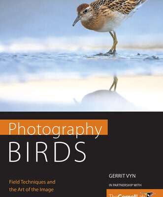 خرید و دانلود نسخه کامل کتاب Photography Birds: Field Techniques and the Art of the Image
