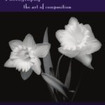 خرید و دانلود نسخه کامل کتاب Photography: The Art of Composition