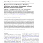 خرید و دانلود نسخه کامل کتاب Phylogenomics of microleafhoppers (Hemiptera: Cicadellidae: Typhlocybinae): morphological evolution, divergence times, and biogeography