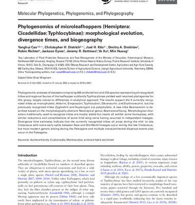 خرید و دانلود نسخه کامل کتاب Phylogenomics of microleafhoppers (Hemiptera: Cicadellidae: Typhlocybinae): morphological evolution, divergence times, and biogeography