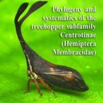 خرید و دانلود نسخه کامل کتاب Phylogeny and systematics of the treehopper subfamily Centrotinae (Hemiptera Membracidae)