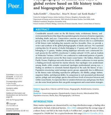 خرید و دانلود نسخه کامل کتاب Phylogeography of sharks and rays: a global review based on life history traits and biogeographic partitions