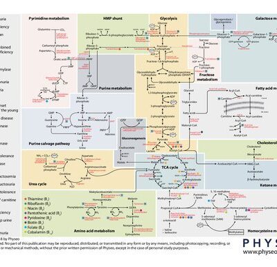 خرید و دانلود نسخه کامل کتاب Physeo Biochemistry Map