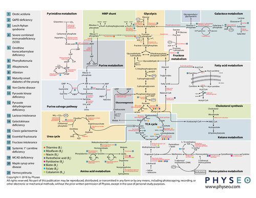 خرید و دانلود نسخه کامل کتاب Physeo Biochemistry Map_68e60bbe43b51.jpeg خرید و دانلود نسخه کامل کتاب Physeo Biochemistry Map