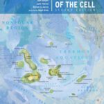 خرید و دانلود نسخه کامل کتاب Physical Biology of the Cell (2nd Edition)