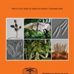 خرید و دانلود نسخه کامل کتاب Phytopathogenic Dothideomycetes