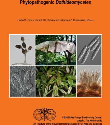 خرید و دانلود نسخه کامل کتاب Phytopathogenic Dothideomycetes
