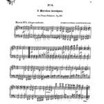 خرید و دانلود نسخه کامل کتاب Piano Four-Hands Music, arranged for Piano Solo
