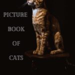 خرید و دانلود نسخه کامل کتاب Picture Book Of Cats: A Great Gift (75 high quality animal images) Large Size 8.25×11