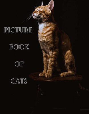 خرید و دانلود نسخه کامل کتاب Picture Book Of Cats: A Great Gift (75 high quality animal images) Large Size 8.25×11