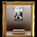 خرید و دانلود نسخه کامل کتاب Picture Perfect: Life in the Age of the Photo Op (New Edition)