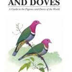 خرید و دانلود نسخه کامل کتاب Pigeons and Doves: A Guide to the Pigeons and Doves of the World