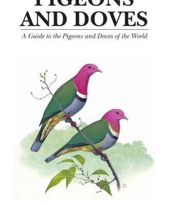 خرید و دانلود نسخه کامل کتاب Pigeons and Doves: A Guide to the Pigeons and Doves of the World