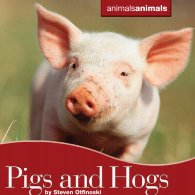 خرید و دانلود نسخه کامل کتاب Pigs and Hogs (Animals Animals)