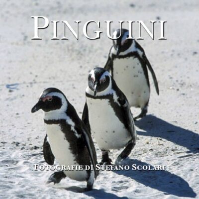 خرید و دانلود نسخه کامل کتاب Pinguini