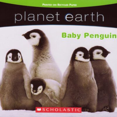 خرید و دانلود نسخه کامل کتاب Planet Earth – Baby Penguins