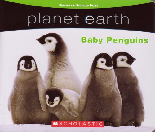 خرید و دانلود نسخه کامل کتاب Planet Earth – Baby Penguins_68e5e07030078.jpeg خرید و دانلود نسخه کامل کتاب Planet Earth – Baby Penguins