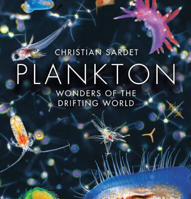 خرید و دانلود نسخه کامل کتاب Plankton: Wonders of the Drifting World