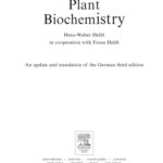 خرید و دانلود نسخه کامل کتاب Plant Biochemistry, Third Edition