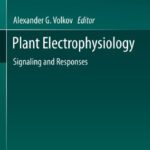 خرید و دانلود نسخه کامل کتاب Plant Electrophysiology: Signaling and Responses
