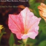 خرید و دانلود نسخه کامل کتاب Plant Epigenetics (Annual Plant Reviews, Volume 19)