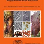 خرید و دانلود نسخه کامل کتاب Plant pathogenic and endophytic Botryosphaeriales known from culture
