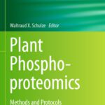 خرید و دانلود نسخه کامل کتاب Plant Phosphoproteomics: Methods and Protocols