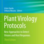 خرید و دانلود نسخه کامل کتاب Plant Virology Protocols: New Approaches to Detect Viruses and Host Responses